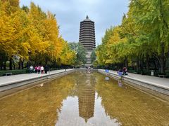 -玲珑塔公园