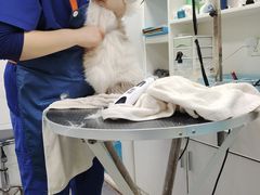 -萌兽医馆·宠物医院·猫骨科(创景店)