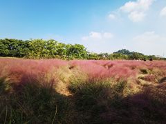 -下渚湖国家湿地公园科普馆