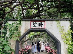 -广西壮族自治区药用植物园