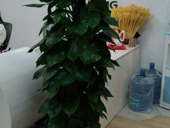 -小荧星艺校(大宁分校)