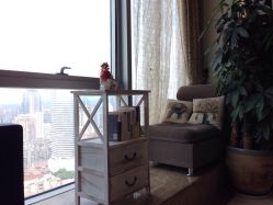 日本DoMo-デザイン(越秀区金润铂宫会所)-ＤＯＭＯプロの美容サロン