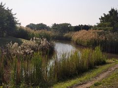 -福田红树林生态公园