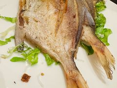 香煎鲳鱼-京香轩·中餐厅(上海中庚聚龙酒店)