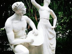 -瑞丽独树成林风景区