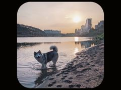 -中国宜宾·长江地标广场