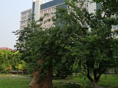 -保定理工学院(保定校区)
