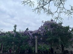 -郑和公园