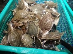 -丰卓会海鲜自助(中润大道店)