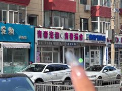 -青奢宠物·青奢猫舍