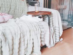 -Sweet cat·星愿猫咖(国贸大厦店)