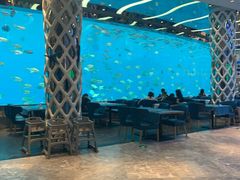 -瑞德姆美人鱼海底演艺主题餐厅(亚龙湾店)