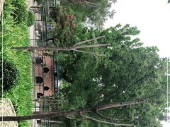 -南宫五洲植物乐园