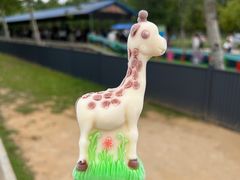 -秦皇岛野生动物园