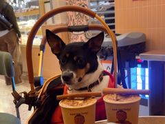 -OUR Bakery(SKP-S店)