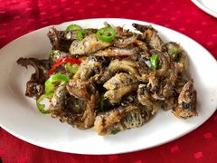 -蛇口康乐快餐鱼仔档(翠苑小区店)