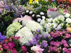 -双季花艺园艺市场(浦东店)