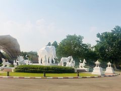 -清迈夜间动物园