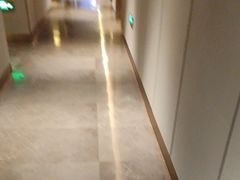 -同庆楼(天鹅酒家店)