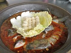 大锅鱼-小赖鱼馆