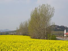 -西海岸生态观光园
