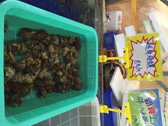 -蚝得喜海鲜(东城店)