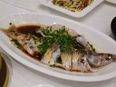 葱油鲻鱼-花中城·杭帮菜·粤菜·海鲜火锅(清泰街店)