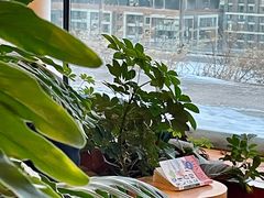 -Seesaw Coffee(朝阳大悦城店)