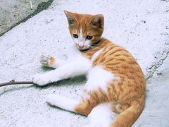 iphone_upload_pic-看书吧(体育东横路店)