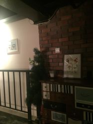 -素颜秀半永久纹眉纹眼线