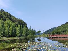 -广州市石门国家森林公园