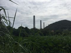 -南丫岛