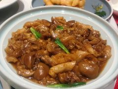 花胶鱼肚烩蹄尖-百富源·海鲜辽菜(和平北大街店)