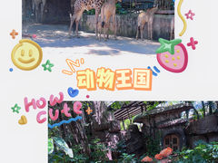 -长鹿旅游休博园