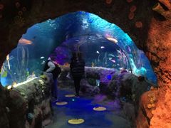 -沈阳海洋探索中心