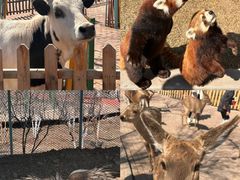 -水上乐园·欢乐世界