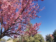 -天龙八部武侠城