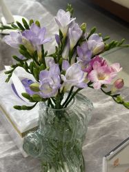 -小珂丽格医疗美容