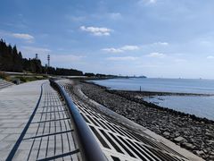 -瀛洲公园
