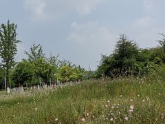 -九里河湿地公园