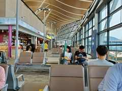 -上海浦东国际机场-T2航站楼
