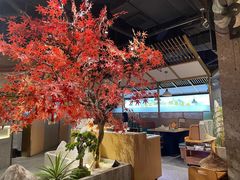 -滇色蒸汽石锅鱼(京华城店)