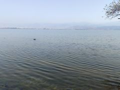 -西昌邛海湿地