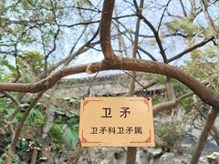 -何园