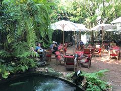 -Fern Forest Cafe