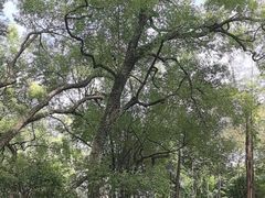 -晓港公园