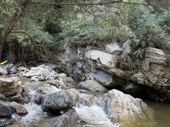 -少华山国家森林公园