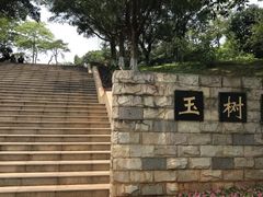 -玉树公园