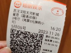 -汉阳天河电影城(王家湾店)