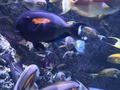 -成都浩海立方海洋公园